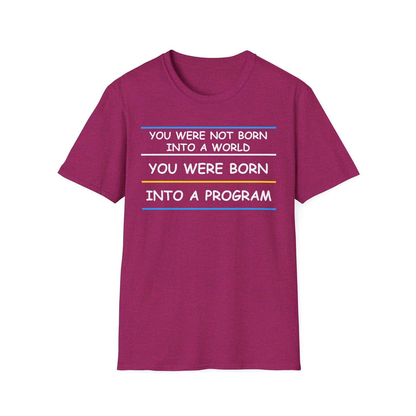You Were Born Into a Program