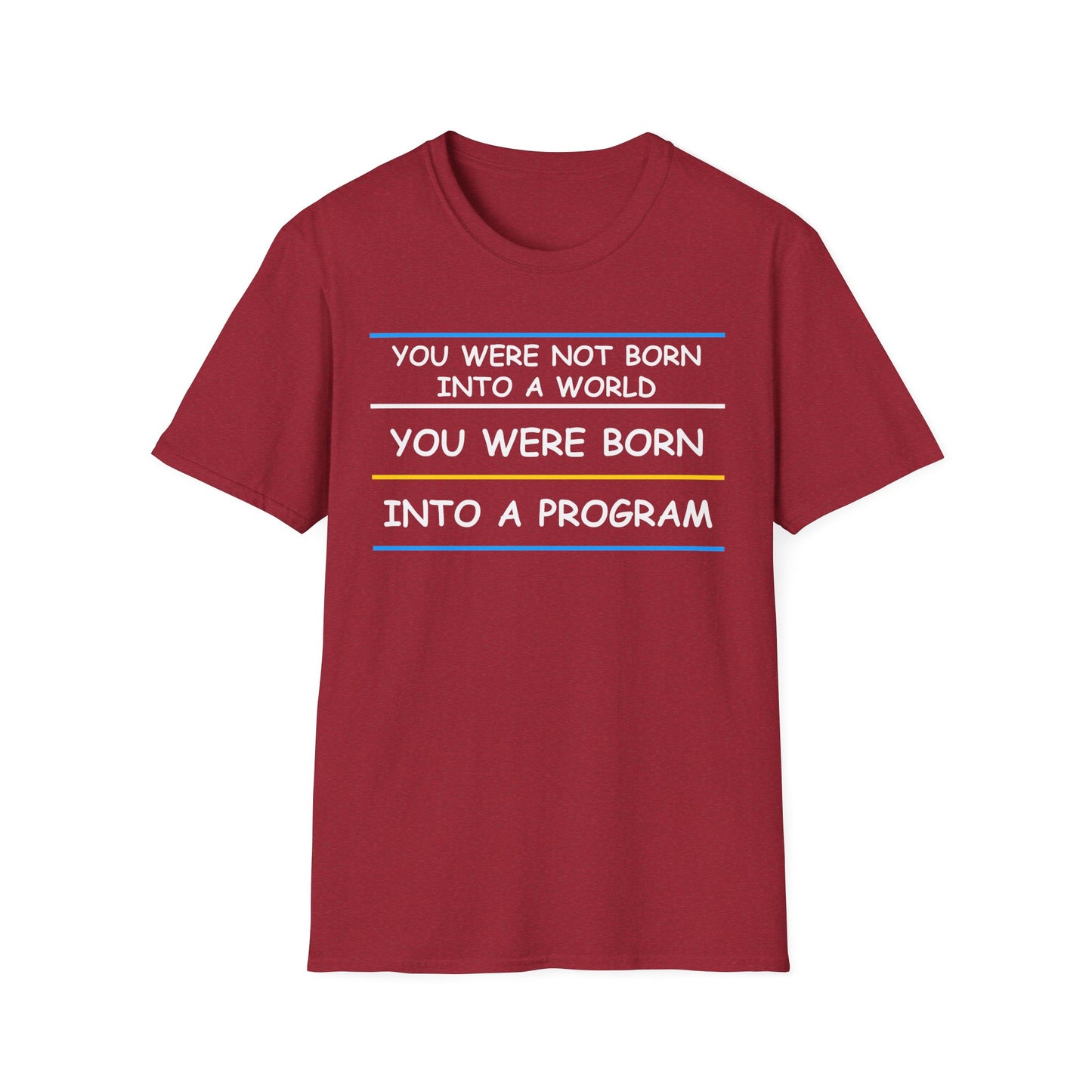 You Were Born Into a Program
