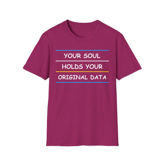 Your Soul Holds Your Original Data