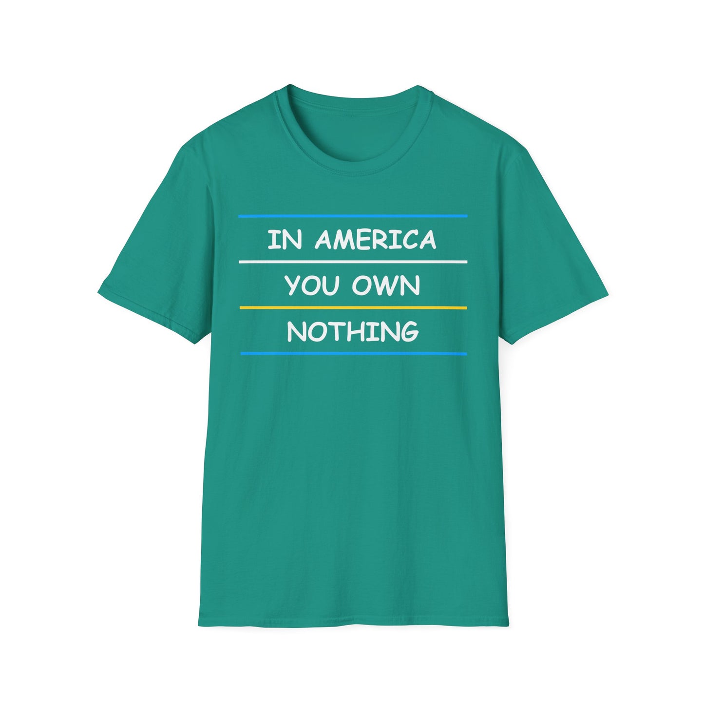 In America You Own Nothing